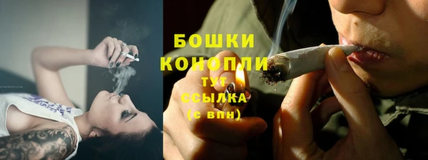тгк Белокуриха