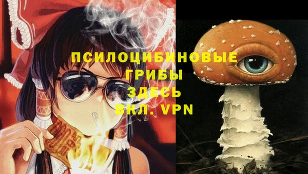 тгк Белокуриха