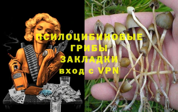 стафф Баксан
