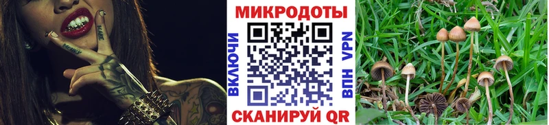 хочу наркоту  Котельниково  Галлюциногенные грибы Magic Shrooms 